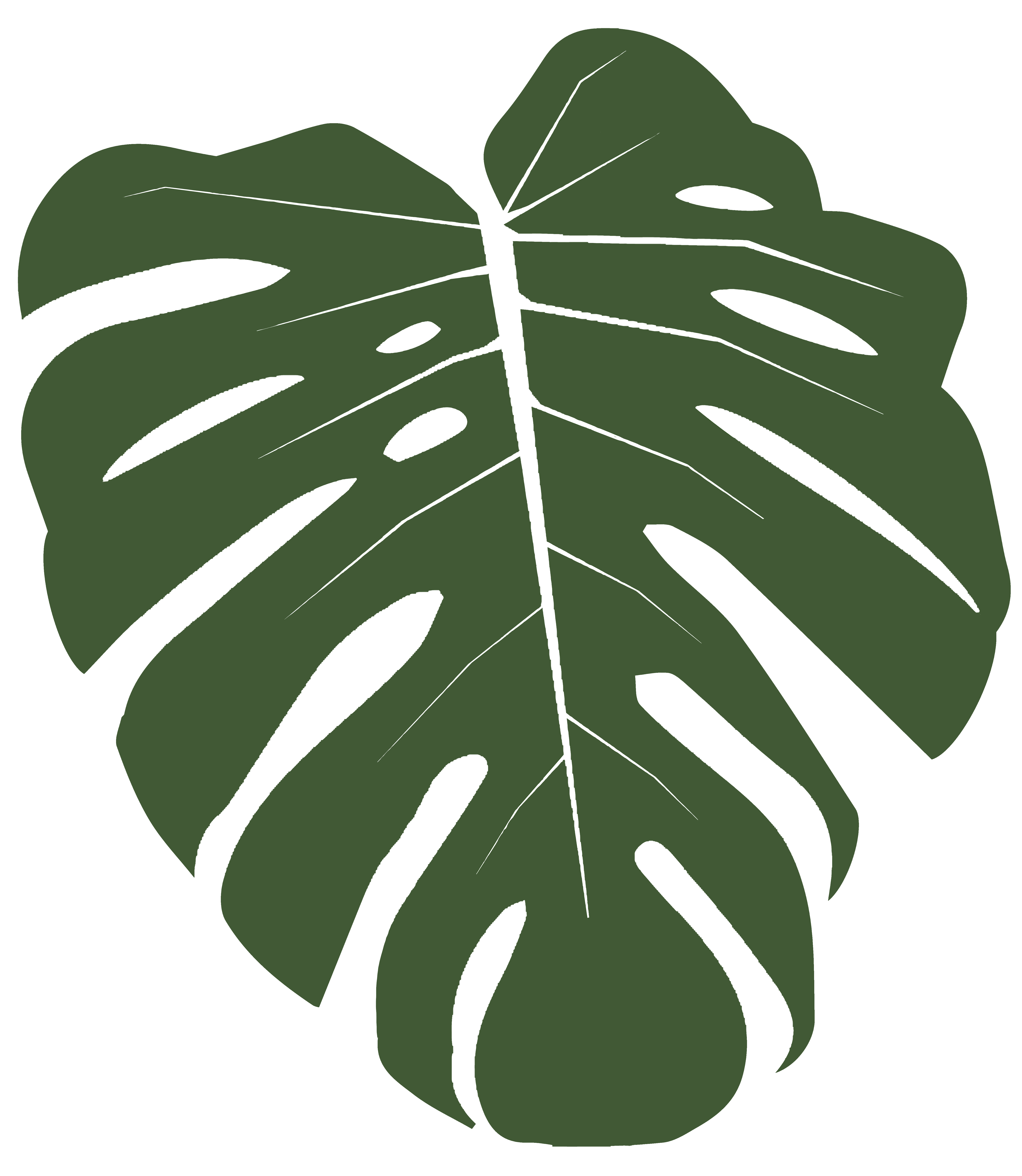 monstera_01